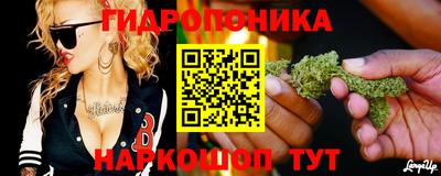 jwh Пенза