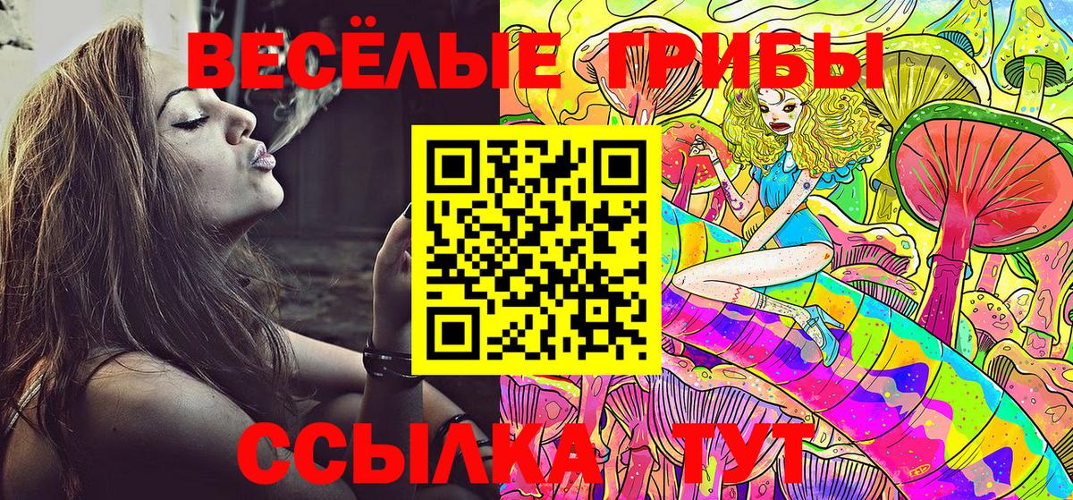 Сызрань  Псилоцибиновые грибы ЛСД  Вход с VPN  Псилоцибиновые грибы GOLDEN TEACHER 